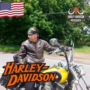 Meet your Posher, Harold